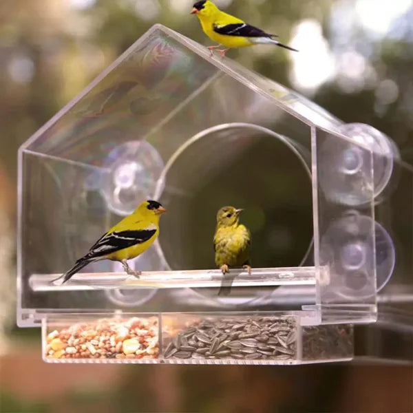 Mangeoire à oiseaux de fenêtre en plastique transparent