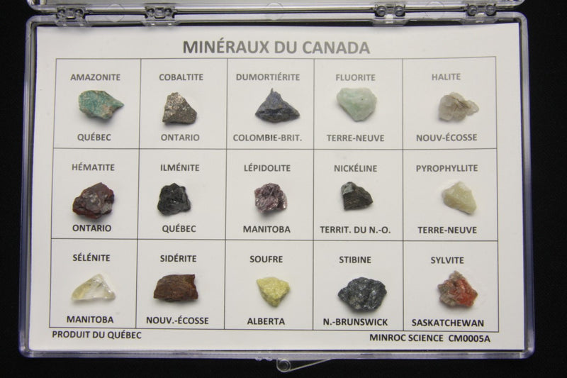 Coffret de 15 minéraux du Canada – spécimens dans un présentoir (Minroc Science)