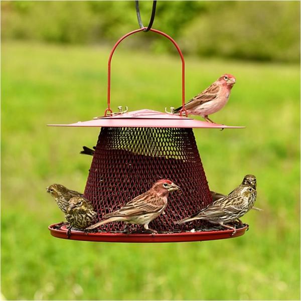 Red Cardinal NO/NO Bird Feeder - alternate view