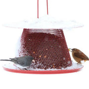 Red Cardinal NO/NO Bird Feeder - detail view