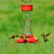 16 oz. hummingbird feeder additional view
