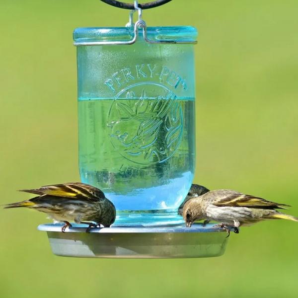 Mason Jar Wild Bird Waterer additional view