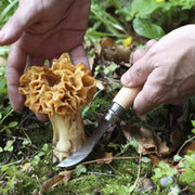 Opinel No.08 Mushroom Knife with Brush — blade detail