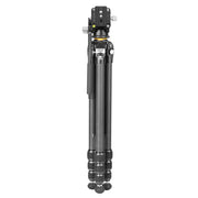 Vanguard VEO 5 264CV14 carbon tripod with video head
