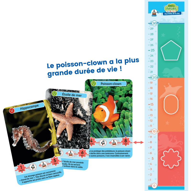 Défis Nature Junior - Merveilles de la mer, contenu du jeu