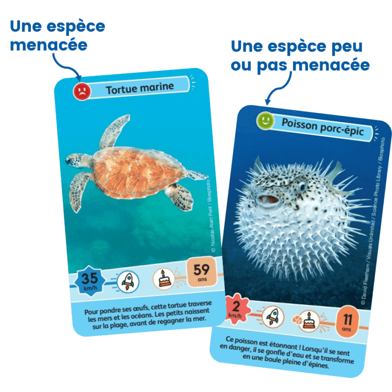 Défis Nature Junior - Merveilles de la mer, mise en situation de jeu