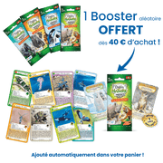 Défis Nature Junior - Merveilles de la mer, jeu éco-conçu fabriqué en France