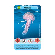 Défis Nature Junior - Merveilles de la mer, exemple de carte animal marin