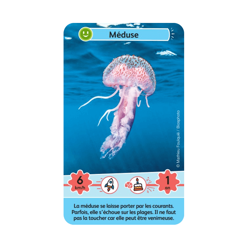 Défis Nature Junior - Merveilles de la mer, exemple de carte animal marin