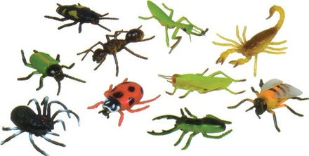 Insects, Set of 10 (5 in)