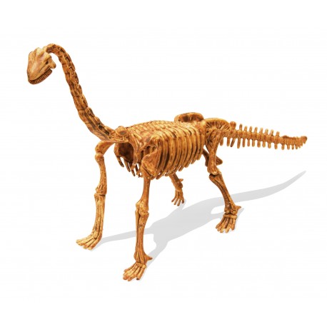 Buki Dino Kit Brachiosaure