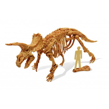 Buki Dino Kit Tricératops - coffret