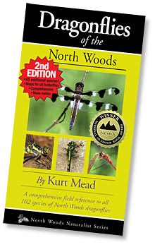 Dragonflies of the North Woods