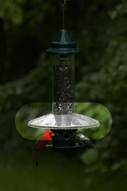 Weather Guard for Squirrel Buster Plus, close-up