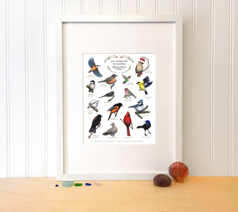 Affiche oiseaux de nos jardins - détail
