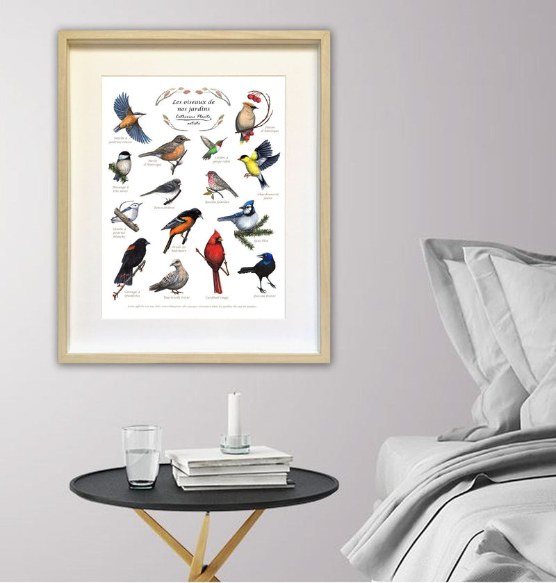 Affiche éducative - Les oiseaux de nos jardins
