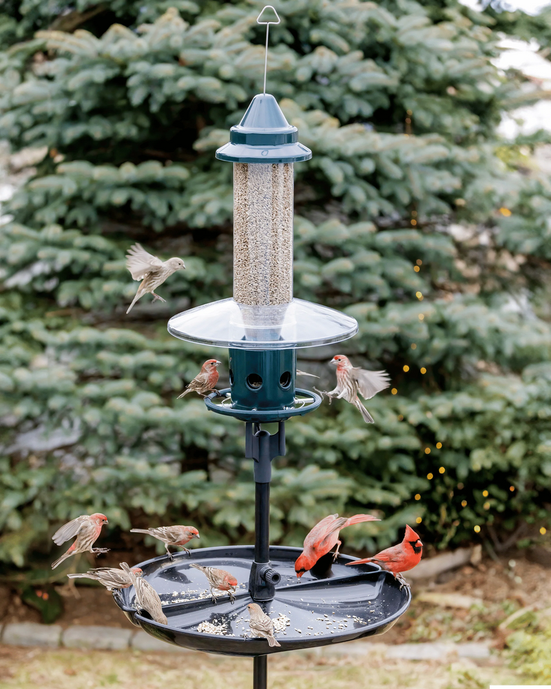 Station de mangeoires Squirrel Buster Plus Podium