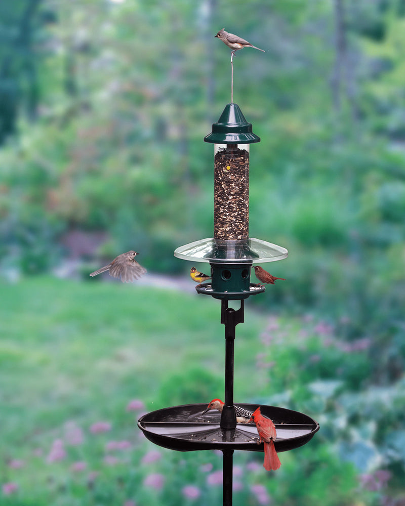 Station de mangeoires Squirrel Buster Plus Podium