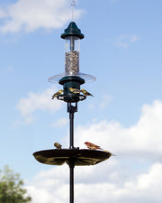 Squirrel Buster Plus Podium: contents of the complete station kit