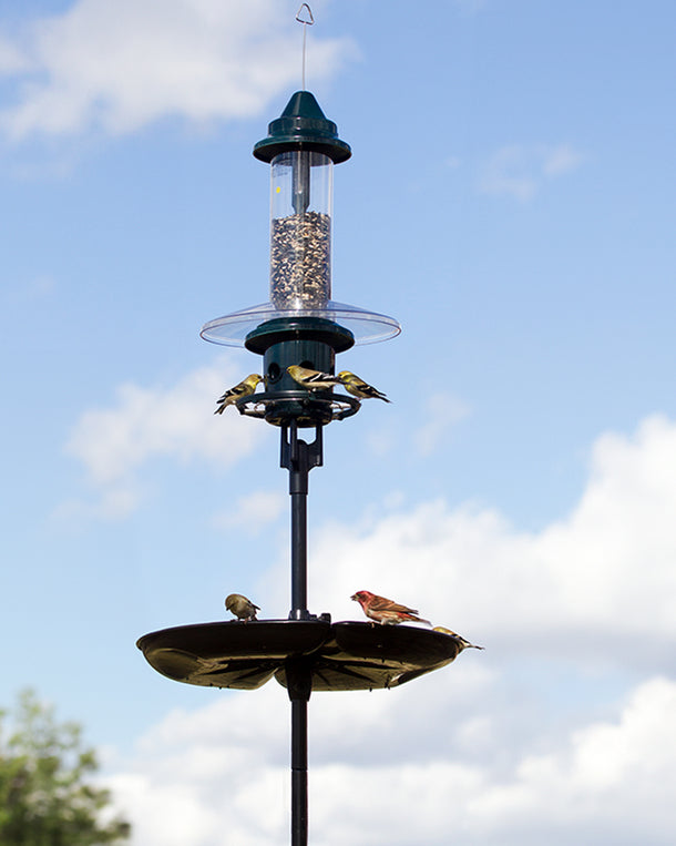Squirrel Buster Plus Podium: contents of the complete station kit