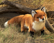 Marionnette Renard roux Folkmanis en décor naturel