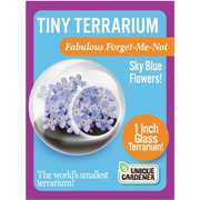 Tiny terrarium, flower variety