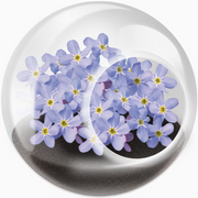 Tiny terrarium, flower variety
