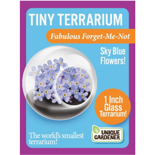 Tiny terrarium, flower variety