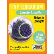 Tiny terrarium kit contents