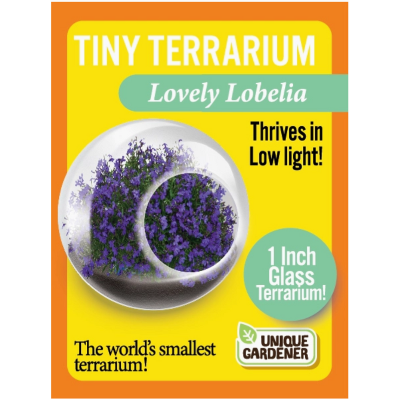 Tiny terrarium kit contents