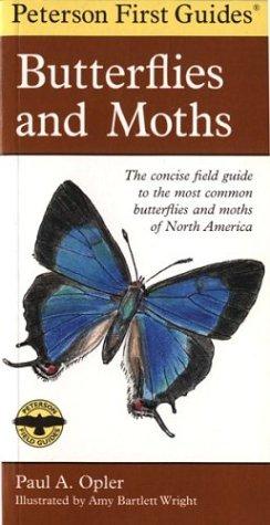 Peterson First Guide to Butterflies and Moths – cover