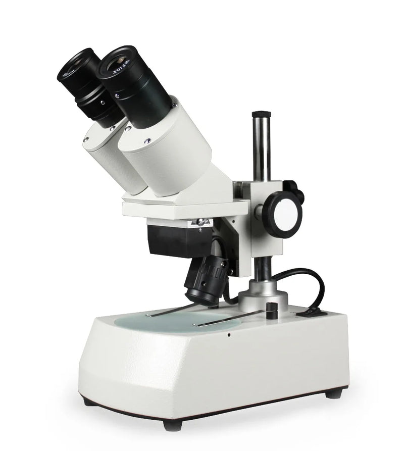 Stéréomicroscope binoculaire Walter série XKC