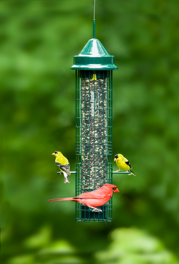 SQUIRREL BUSTER CLASSIC for Science and Nature from Le Naturaliste
