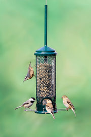 SQUIRREL BUSTER MINI FEEDER for Science and Nature from Le Naturaliste