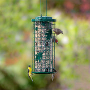MANGEOIRE SQUIRREL STUMPER for Science and Nature from Le Naturaliste