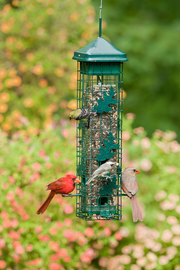 SQUIRREL SOLUTION 200 FEEDER for Science and Nature from Le Naturaliste