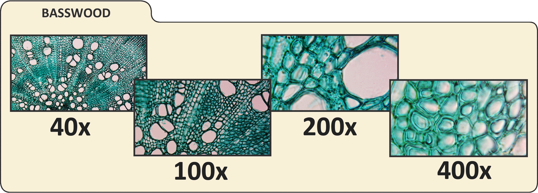 Pentaview microscope 2024