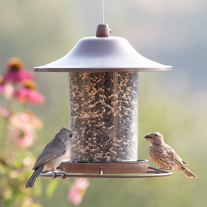 PANORAMA BIRD FEEDER (SMALL) for Science and Nature from Le Naturaliste