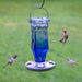SAPPHIRE STARBURST VINTAGE COLIBRI FEEDER for Science and Nature from Le Naturaliste