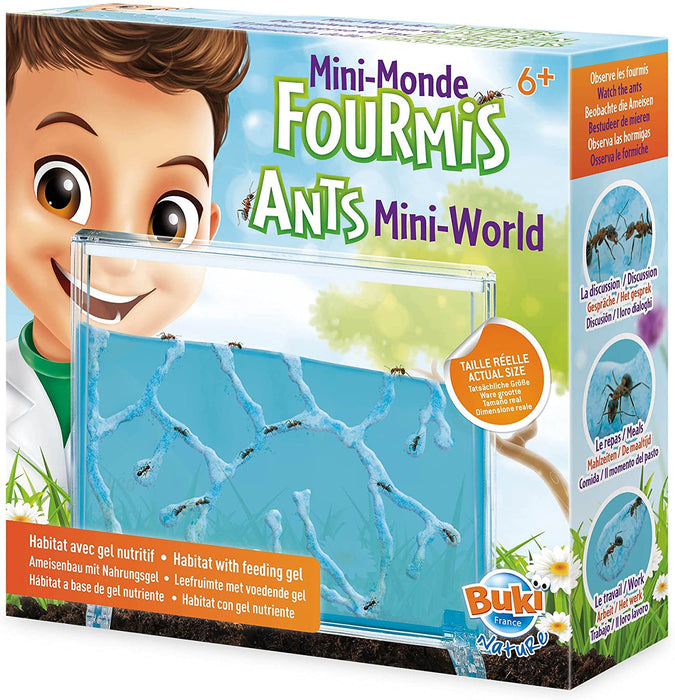 ANTS MINI WORLD for Science and Nature from Le Naturaliste