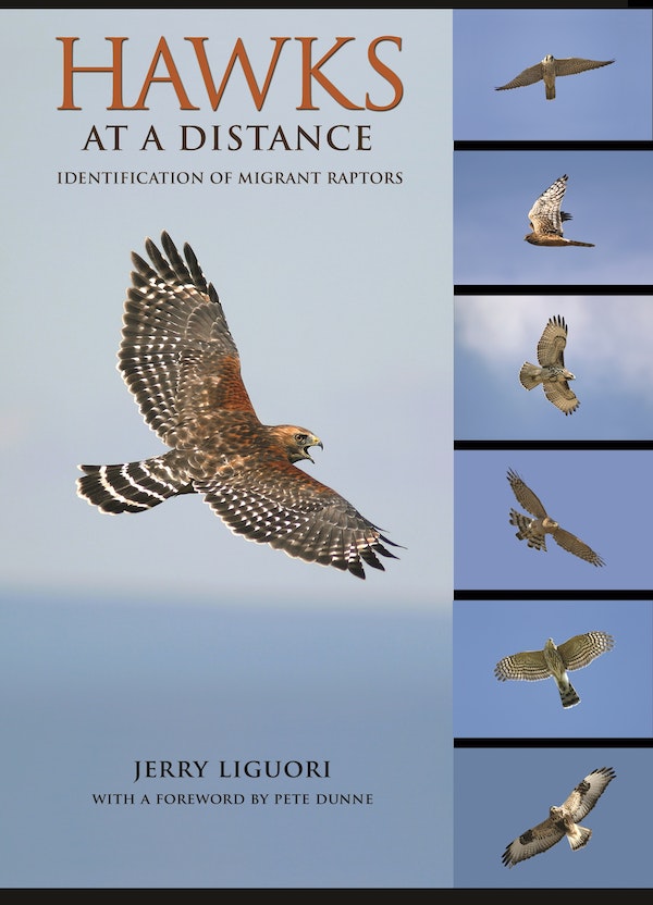 HAWKS AT A DISTANCE, IDENTIFICATION OF MIGRANT RAPTORS for Science and Nature from Le Naturaliste