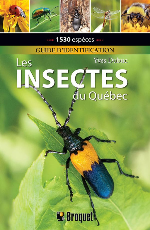 LES INSECTES DU QUEBEC for Science and Nature from Le Naturaliste