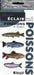 GUIDE ECLAIR LES POISSONS DU QUÉBEC for Science and Nature from Le Naturaliste