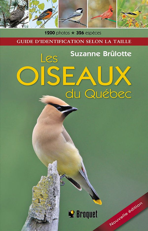 LES OISEAUX DU QUÉBEC for Science and Nature from Le Naturaliste