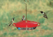 HUMMZINGER MINI FEEDER for Science and Nature from Le Naturaliste