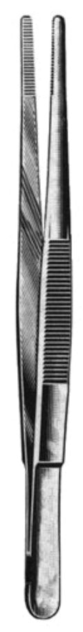 DRESSING FORCEPS, STRAIGHT for Science and Nature from Le Naturaliste