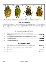 GUIDE D'IDENTIFICATION DES SCARABÉES DU QUÉBEC for Science and Nature from Le Naturaliste