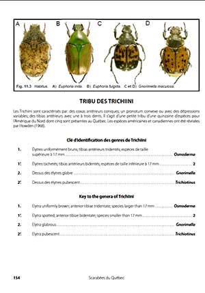 GUIDE D'IDENTIFICATION DES SCARABÉES DU QUÉBEC for Science and Nature from Le Naturaliste