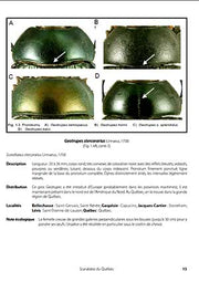 GUIDE D'IDENTIFICATION DES SCARABÉES DU QUÉBEC for Science and Nature from Le Naturaliste