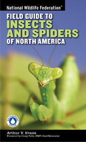 FIELD GUIDE TO INSECTS AND SPIDERS OF NORTH AMERICA for Science and Nature from Le Naturaliste